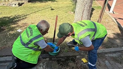Burhaniye Belediyesi Sokak Hayvanları İçin Yeni Adımlar Attı