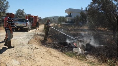 Burhaniye'de Yüzlerce Ağaç Kül Oldu