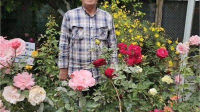 Emekli Öğretmen Okul Bahçesini Güllerle Donattı