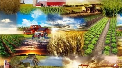 Gıda ve Hayvancılık Sektörü Susurluk'ta Konuşulacak