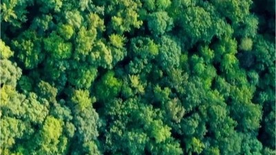 Orman Bölge Müdürlüğü: 'Tedbirini al'