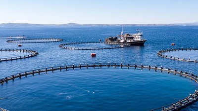 Su Ürünleri üretimi 2023 yılında %18,6 arttı