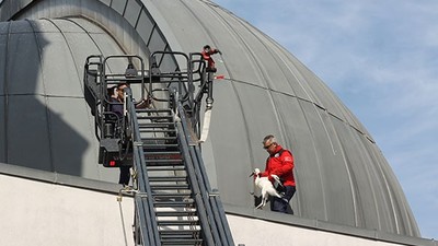 Yuvasından Düşen Leylek Yavrusu İtfaiye Ekiplerince Kurtarıldı
