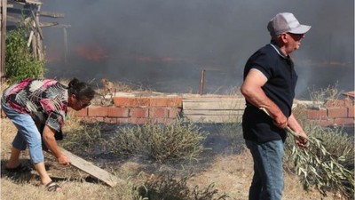 Ayvalık'ta Zeytinlikleri ve Hayvan Ağıllarını Alevler Sardı!