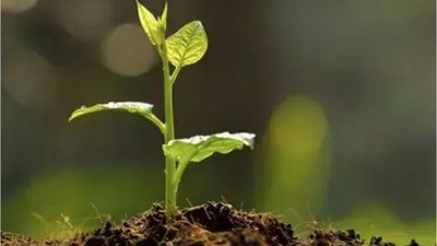 Türkiye Azerbaycan'ın Geleceğine Nefes Oluyor