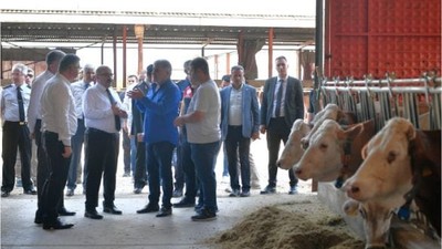 Çeltik Üretiminin Kalbi Gönen'de Atıyor!