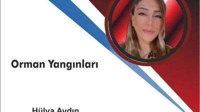 Orman Yangınları: Yaz Gelince Artan Tehlike Ve Bilinçlenme
