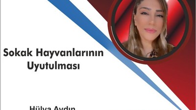 Sokak Hayvanlarının Uyutulması: Vicdanlarımızın Sessiz Çığlığı