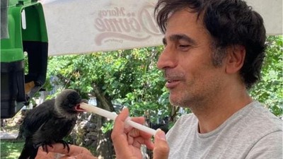 Yavru kargaya bebek gibi bakıyorlar