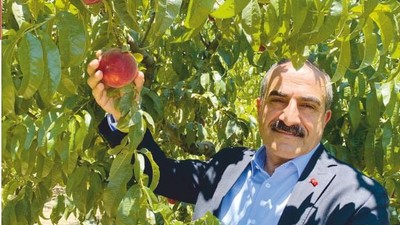 Şeftali ve nektarin ihracatı 250 milyon dolara koşuyor