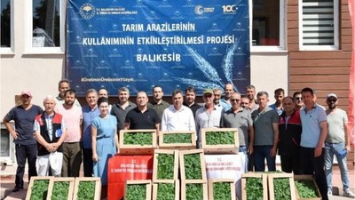 212 Bin Sebze Fidanı Balıkesir Toprağında
