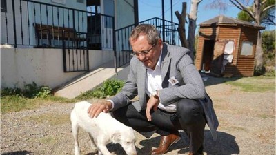 Başkan Ergin Ötanazi Uygulamasına Tepki Gösterdi