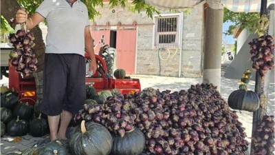 Erdek'in Meşhur Mor Soğanı Pazara Çıktı