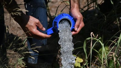 Erdek'in Zeytin Ağaçları Suya Kavuştu