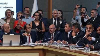 Hayvan Hakları Düzenleme Görüşmeleri Sürüyor