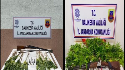 Kamu Arazileri Kenevir Tarlasına Dönüştürdüler!