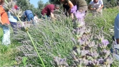 Öğrenciler Ekti Akademisyenler Hasat Etti