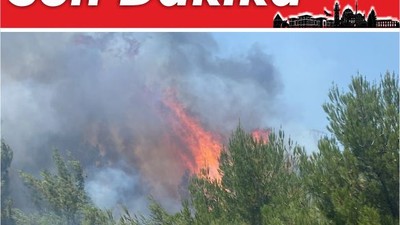 Son Dakika! Altıeylül'de Arazide Yangın Başladı