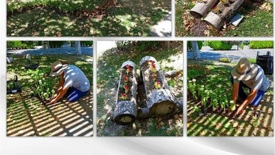 Susurluk Parkı Baharın Renkleriyle Buluşuyor
