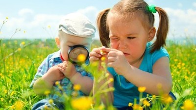 Kazdağları Bitki Zenginliğiyle Bir Doğa Harikası