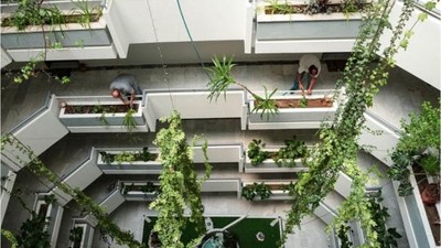 Apartman 30 Yılda Botanik Bahçeye Dönüştü!