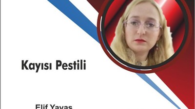 Kayısı Pestili