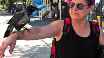 Tatil İçin Kargasıyla Birlikte Erdek'e Geldi