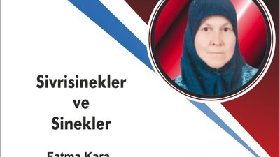 Sivrisinekler ve sinekler