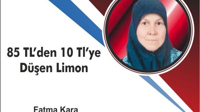 85 TL’den 10 Tl’ye Düşen Limon