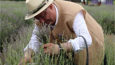 Aromaterapi Festivali'nde İlk Hasat Coşkusu