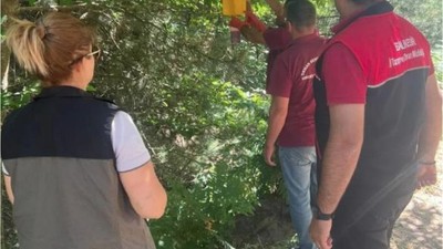 Havran'daki Çiftçiler Önlem İçin Tuzak Kurdu