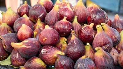 Coğrafi İşaretli Havran Siyah İnciri Tezgahlarda