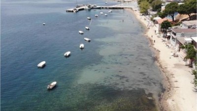 Marmara Denizi Kırmızı Alarm Verdi! Oksijen Krizi Kapıda