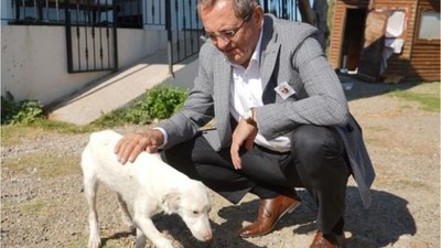 Mesut Ergin: "Ötanazi Kabul Edilemez"
