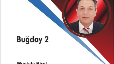 Buğday 2