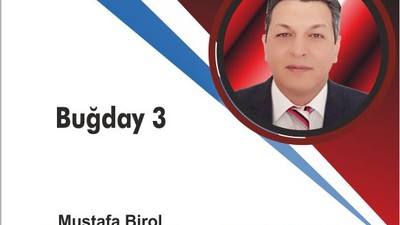 Buğday 3