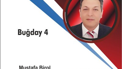 Buğday 4