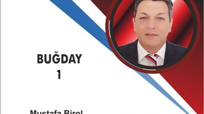 Buğday 1