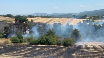 Altıeylül'de Çıkan Yangın Kontrol Altında!