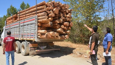 Balıkesir Orman Bölge Müdürlüğü'nden Sıkı Denetim