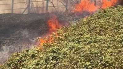 Balıkesir-Susurluk Karayolunda Yangın Paniği