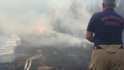 Balıkesir'de Yangına Müdahalede Arı Engeli