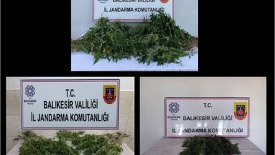 Balıkesir'in 3 İlçesindeki Kenevir Yuvalarına Baskın