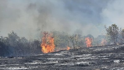 Bandırma'da Otluk Alanda Yangın