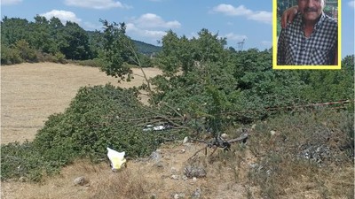 Feci Ölüm! Kestiği Ağaç Üstüne Devrildi