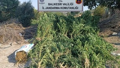 Jandarmadan Uyuşturucu ve Kaçakçılık Operasyonu
