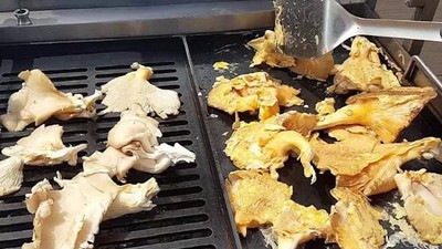 Mangalın Yeni Gözdesi: İstiridye Mantarı