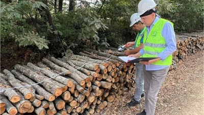 Orman Genel Müdürlüğü'nden Kalite Hamlesi