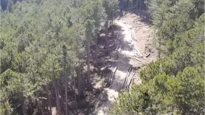 Orman Müdürlüğü Yangına Karşı Kalkan Ördü