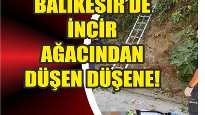 Başçeşme'de İncir Ağacından Düştü! Yine İncir Yine Acı